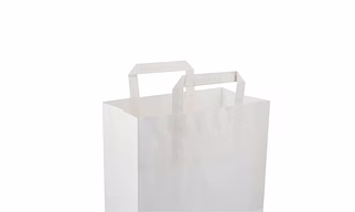 Hotpack White Flat Handle Paper Bag, PFH - D