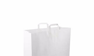 Hotpack White Flat Handle Paper Bag, PFH - 2