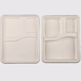 biodegradable 3 compartment tray & lid - natural disposable