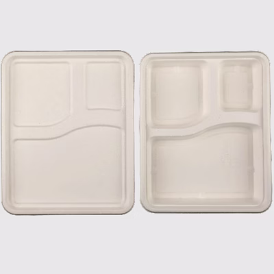 biodegradable 3 compartment tray & lid - natural disposable