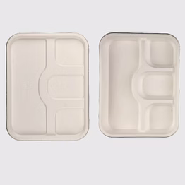 biodegradable 4 compartment tray & lid - natural disposable