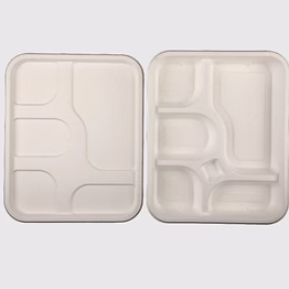 biodegradable 5 compartment tray & lid - natural disposable