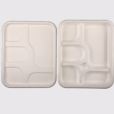 biodegradable 5 compartment tray & lid - natural disposable