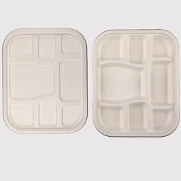 biodegradable 8 compartment tray & lid - natural disposable