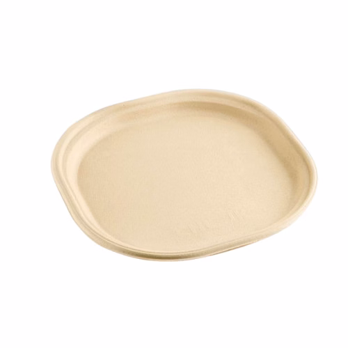 7 inch snack disposable plate