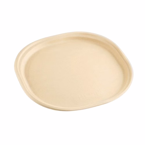 7 inch Snack Disposable Plate image 3
