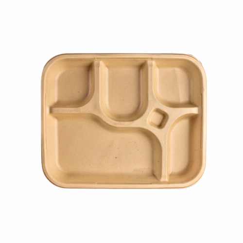 5 cp meal disposable plates