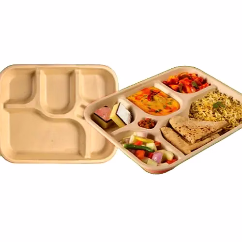 5 CP Meal Disposable Plates image 2