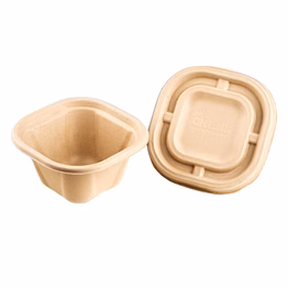 sugarcane bagasse delivery container (disposable tableware) 500 ml