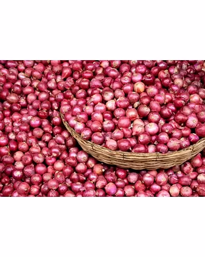 Onion-1