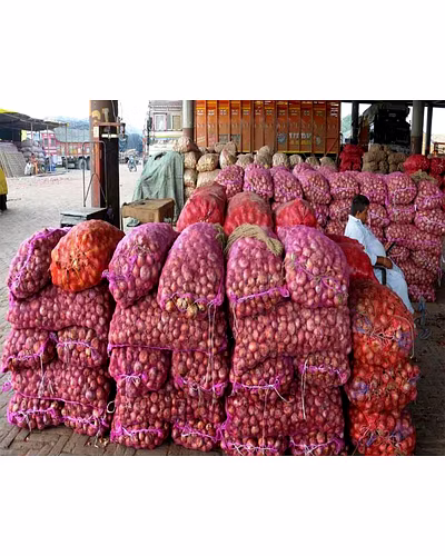 Onion-3