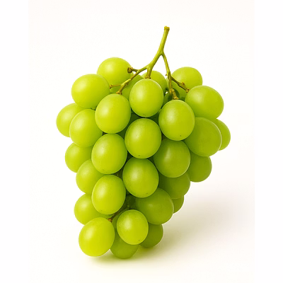 majji export & import fresh grapes