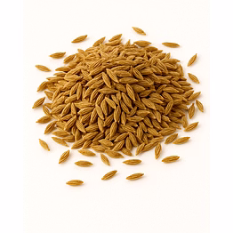 majji export & import cumin seeds