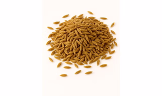 Cumin Seeds