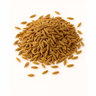 majji export & import cumin seeds