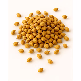majji export & import coriander seeds