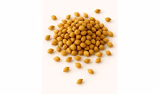 Coriander Seeds