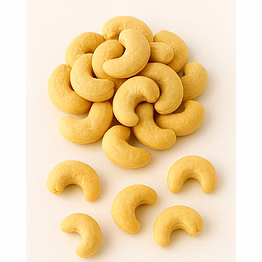 majji export & import cashew nuts