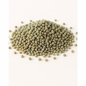 Pearl Millet (Bajra)