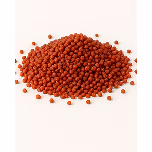 Finger Millet (Ragi)