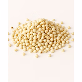 majji export & import sorghum (jowar)