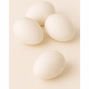 Eggs