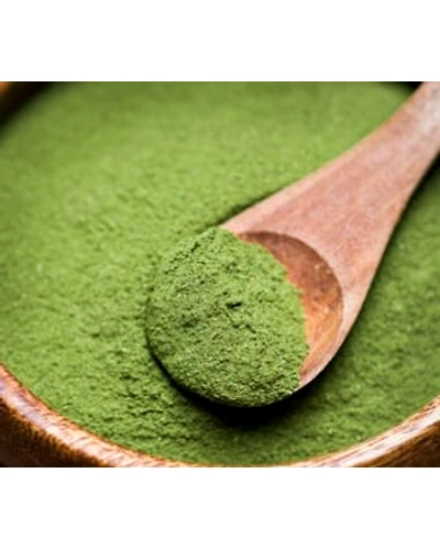 Moringa Leaf Powder / Moringa Powder-12680587