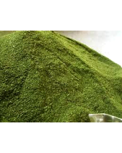 Moringa Leaf Powder / Moringa Powder-2