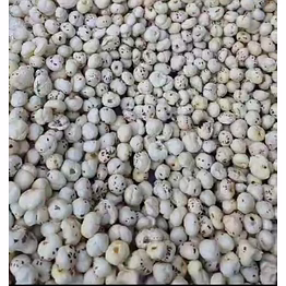 makhana