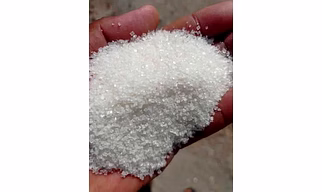 Sugar