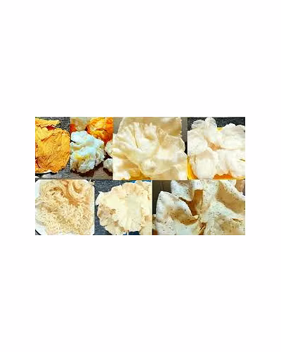 Papad-1