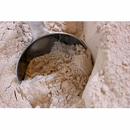 wheat flour
