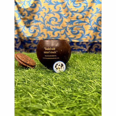 Coconut Shell Storage Container with Lid-2