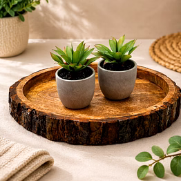 drivetech wooden serving tray