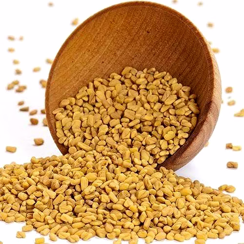 fenugreek seed