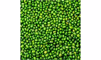 Moong Beans
