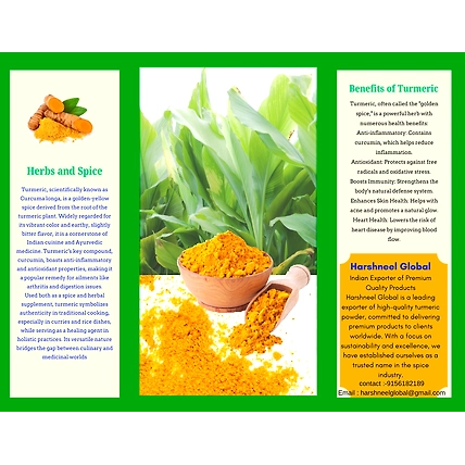 Tumeric Powder-3