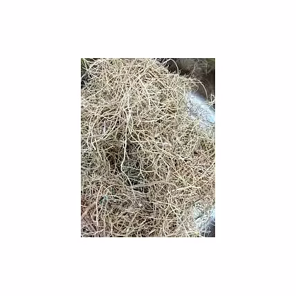 Ashwagandha Taar-1