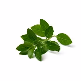 Ashwgaandha Leaves
