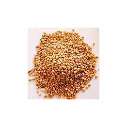 Ashwagandha Seed