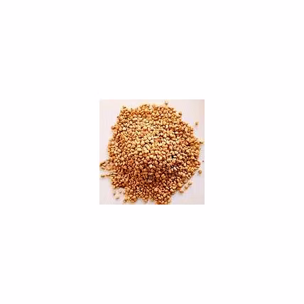 Ashwagandha Seed-12732009