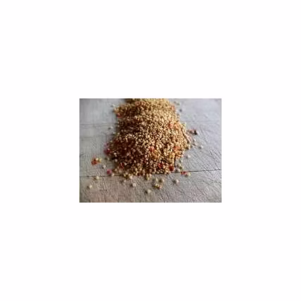 Ashwagandha Seed-1