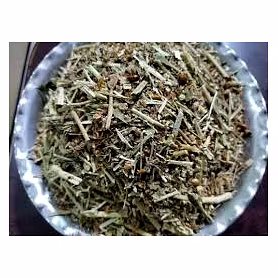 Ashwagandha Panchang