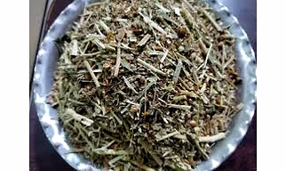 Ashwagandha Panchang
