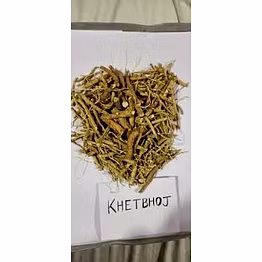 Ashwgandha Khetbhoj