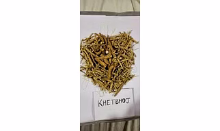 Ashwgandha Khetbhoj