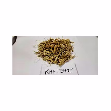 Ashwgandha Khetbhoj-1