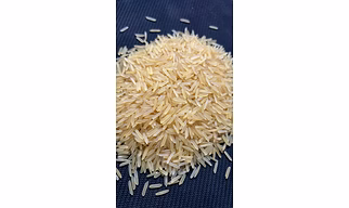 1121 Basmati Rice