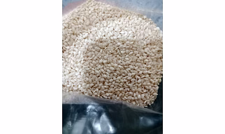 SESAME SEEDS