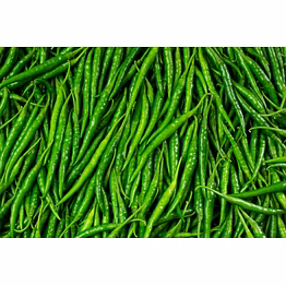 p&h exports green chilli